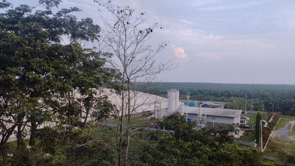 Mengenal Supervisor Biogas POME, Green Jobs Penyelamat Ozon Bumi dari Industri Kelapa Sawit